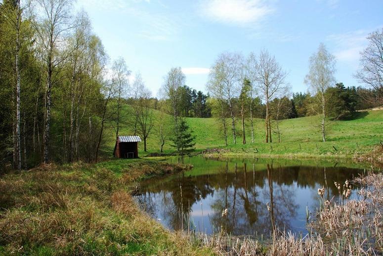 Villa Pod Kogutkiem Kruklanki Exterior foto